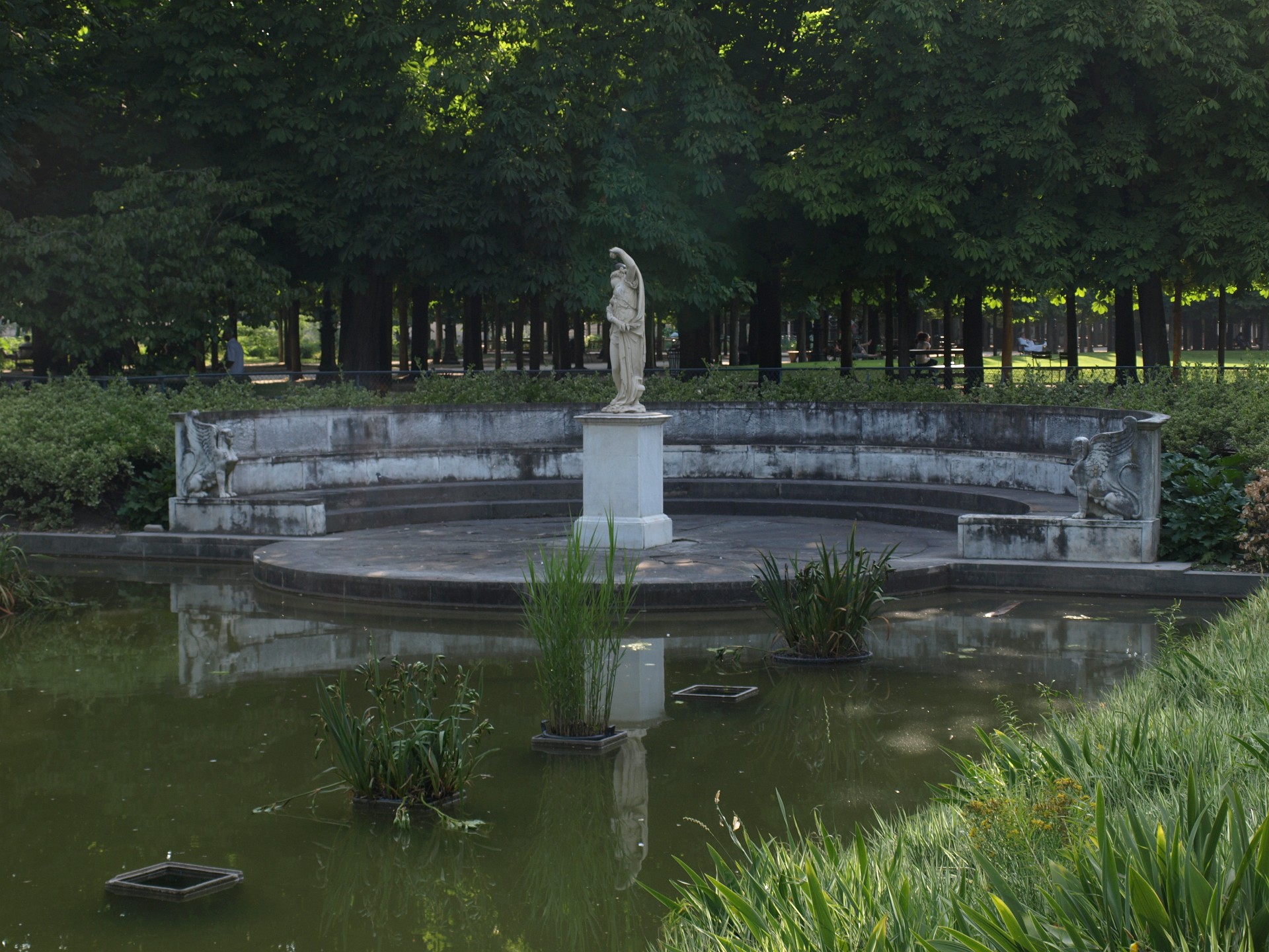 Reflections in the Pond